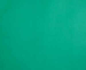 Quill Coloured Board 210gsm 510mm x 635mm Green Pack 20