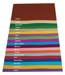 Cardboard Quill A4 210Gsm Xl Asst Colours Pk100