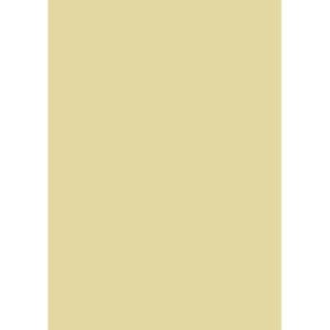 Quill Multi Board 210 Gsm Cream Xl 510X635MM Pack 20