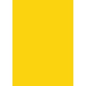 Quill Multi Board 210 Gsm Lemon Xl 510X635MM Pack 20