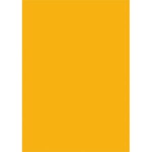 Quill Multi Board 210 Gsm Sunshine Xl 510X635MM Pack 20