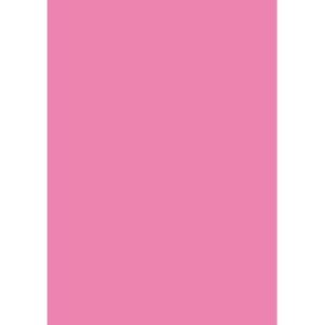 Quill Multi Board 210 Gsm Musk Xl 510X635MM Pack 20