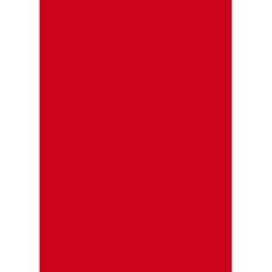 Quill Multi Board 210 Gsm Red Xl 510X635MM Pack 20
