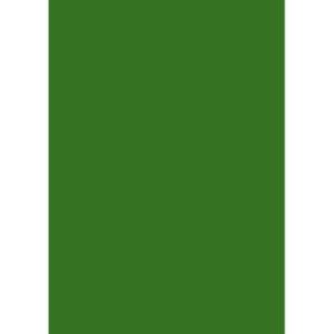 Quill Multi Board 210 Gsm Emerald Xl 510X635MM Pack 20