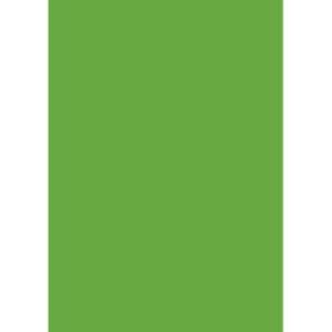 Quill Multi Board 210 Gsm Lime Xl 510X635MM Pack 20