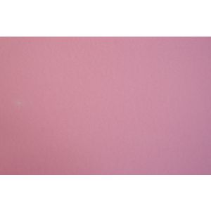 Cardboard Quill 510X635MM Xl 210Gsm Musk Pk50