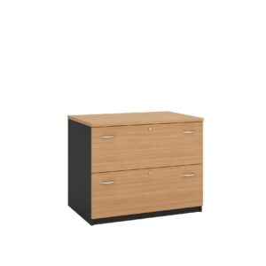 Lateral Filing Cabinet 2 Drawers OM-FC-L4