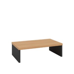 Monitor Riser OM-MS