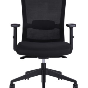 GOPS-W18MBK PORTLAND Series Mesh Chair – Medium Back